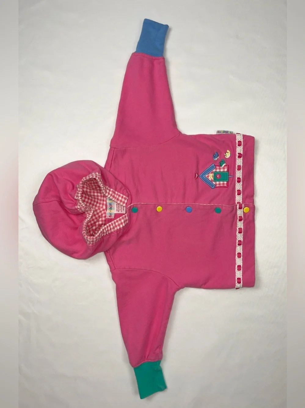 Gymboree 1990s Birdhouse Rainbow Tag Cardigan Gingham Embroidered Hoodie Infant